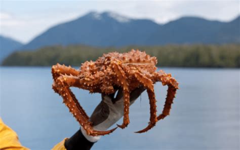 How to Become a Crab Fisherman .